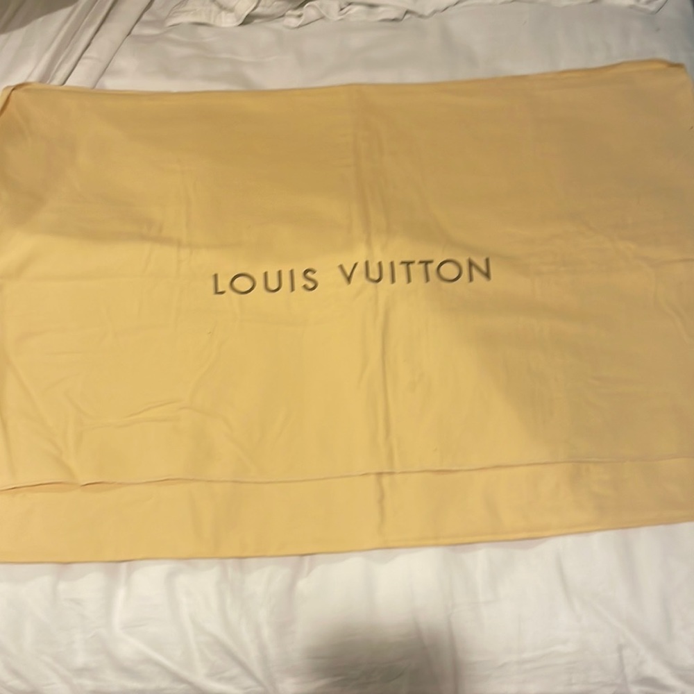 Louis Vuitton storage bag